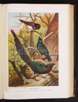 Alfred Brehm: Az állatok világa - Madarak I. kötet Szerk. Chernel István. Bp., 1902. Légrády. aranyo...
