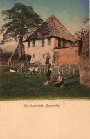 Ein bosnischer Bauernhof; Verlag Albert Thier / Bosnian peasant house, folklore