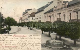 Frantiskovy Lazne, Franzensbad; fountain, Archduke Etienne's house (wet damage)