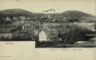 Karlovy Vary, Karlsbad; city park (wet damage)