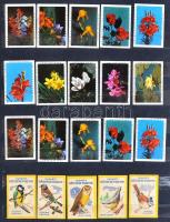 Magyar és külföldi gyufacímke gyűjtemény A4 berakóban