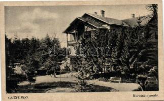Csízfürdő, Horváth nyaraló / villa