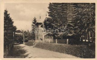 Ferencfalva, vadászlak / hunting lodge (small tear)