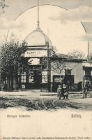 Siófok, Ellinger Ede műterme; kiadja Ellinger Ede