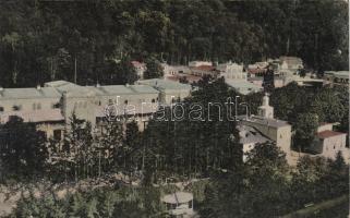 Herkulesfürdő, Herkulesbad; (fa)