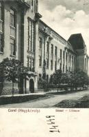 Nagykároly, Líceum / lyceum (Rb)