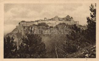 Barcarozsnyó, Rosenau; Rózsaligeti vár / castle