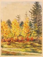 Móka jelzéssel: Erdőrészlet. Akvarell, papír, üvegezett keretben, 28×21 cm