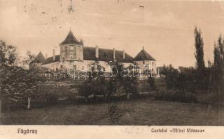 Fogaras castle (pinhole)
