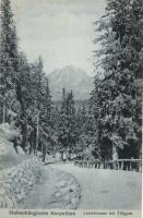 2 db RÉGI erdélyi városképes lap (Tölgyes, Gyilkos-tó) / 2 old Transylvanian town-view postcards (Tö...