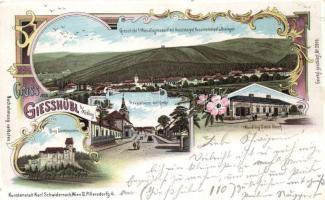 1899 Giesshübl bei Mödling, Handlung Jakob Gleich / shop, litho