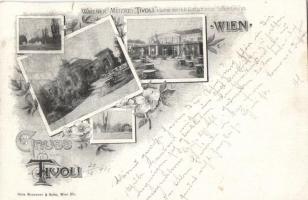 Vienna, Wien; Wallner's Restaurant 'Tivoli', floral (small tear)