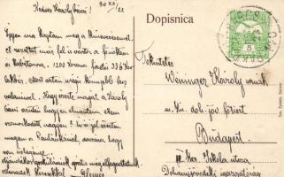 Daruvar u buducnosti / in der Zukunft / in the future, collage