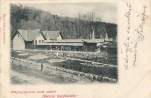 Menyháza, Hidegvíz-gyógyintézet, Női uszoda, napfürdő, Divald Károly kiadása / spa, women swimming pool, sunbath (Rb)