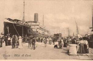 Trieste, Molo S. Carlo, ships, Leopolis