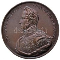 Habsburg Birodalom / Csehország 1840. "August Longin von Lobkowitz az Érmeügyi és Bányászati Uudvari Kamara elnöke" Br emlékérem. Szign.: F. Lang (57mm/87.6g) T:2,2- ph. Habsburg Monarchy / Bohemia 1840. "August Longin von Lobkowitz, President of the Court Chamber for Mining and Minting" commemorative Br medallion. Sign: F.LANGE (57mm/87.6g) C:aXF edge error