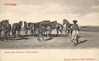Hortobágy, Pányvavetés (lófogás); Eperjesy István kiadása