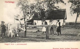 Hortobágy, reggeli fejés a gulyástanyánál; Eperjesy István kiadása