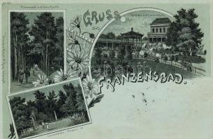 1898 Franzensbad Litho