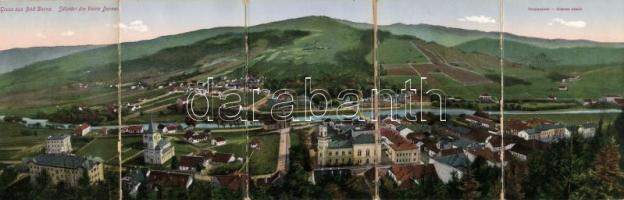 Dornavatra, Vatra Dornei, 5-tile panoramacard