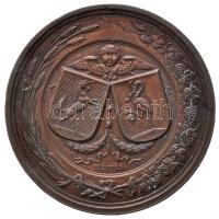 1868. "Eger A Magyar Orvosoknak és Természetvizsgálóknak 1868. - Egri Érseki Lyceum" Br emlékérem. Szign.: SEIDAN (44mm/45.5g) T:2- ph. Hungary / Eger 1868. Archbishop Lyceum of Eger Br commemorative medallion. Sign: Wenzel Seidan (44mm/45.5g) C:VF edge error HV 1461.