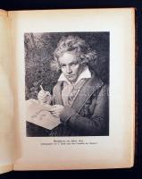 Rolland, Romain: Ludwig van Beethoven. Mit zwölf Lichtdrucken. Zürich, 1920, Max Rascher Verlag. Kia...