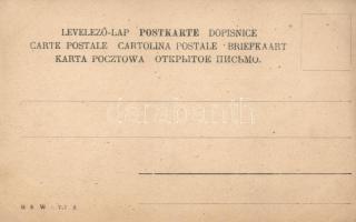 Ausfahrt Sr. K.u.K. Hoheit Erzherzog Franz Ferdinand und Gemahlin, B.K.W.I. 747-2 / Franz Ferdinand ...