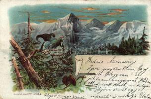 1899 Birds, litho (Rb)