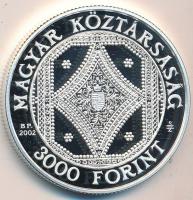 2002. 3000Ft Ag "Széchenyi Könyvtár" T:PP