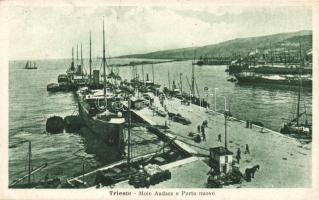 Trieste, Audace molo, new port, sailing boats