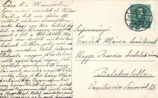 Budapest XII. Zugliget, Angolkisasszonyok otthona, Szent János szobra