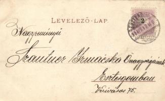 1899 Kovácspatak Amor-forrás / fountain