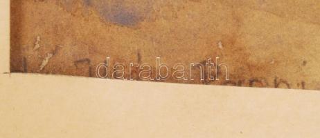 Edvi Illés Panni (1897-1978): Virágcsendélet. Akvarell, papír, jelzett, üvegezett keretben, 55×42 cm