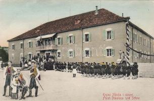 Knjaz Nikola und Söhne