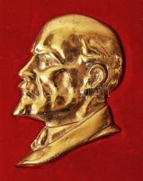 Lenin fej, bronz plakett, jelzés nélkül, eredeti tokjában, 11×8 cm