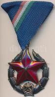 ~1951 "Közbiztonsági Érem" ezüst fokozata a rendőrség tagjai részére mellszalaggal T:1- NMK 550