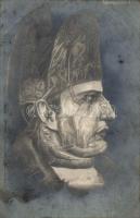 Napoleon I. optical illusion