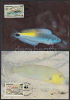 WWF: Halak sor 4 db CM-en WWF: Fishes set on 4 CM