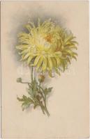 Flower, litho s: A.W.