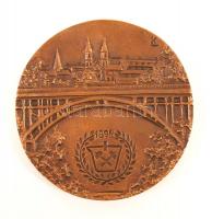 R. Kiss Lenke (1926-2000): Veszprém, 25 éves tagságért OMBKE. Bronz plakett, eredeti tokjában, jelze...