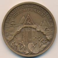 1949. "Nehézipari Műszaki Egyetem Bányamérnöki Kar" Br emlékérem (45mm) T:2