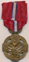 Csehszlovákia 1918. "A nemzeti szabadság őrzőinek ébredése" Br forradalmi kitüntetés mellszalagon (42mm) T:2 Czechoslovakia 1918. "VZHURU NA STRÁZ SVOBODNY NÁRODE (Awakening of the guards of the national freedom)" Br revolutionary medal on original ribbon (42mm) C:XF