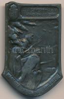 Osztrák-Magyar Monarchia 1914-1916. "17. Székesfehérvári Honvéd Gyalogezred - Kárpáti Harcainak Emlékére" cink sapkajelvény (50x30mm) T:3  Austro-Hungarian Monarchy 1914-1916. "17. Honvéd Infantry Regiment of Székesfehérvár - In remembrance of the battles of the Carpathians" zin cap badge (50x30mm) without pin C:F