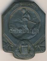 Osztrák-Magyar Monarchia ~1915. &quot;Sielőnek&quot; cink sapkajelvény (42x31mm) T:2-  Austro-Hungarian Monarchy ~1915. &quot;FÜR SKILAUFER (For skier)&quot; zinc cap badge (42x31mm) C:VF