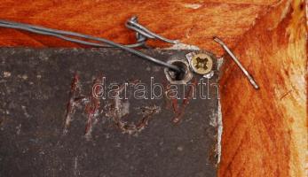 Vadászó oroszlánok, ón falikép, jelzett, keretben, 12×20 cm