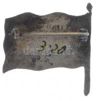 Osztrák-Magyar Monarchia ~1915. "II/60" a II/60. gyalogezred zománcozott bronz zászlójelvé...