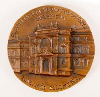 Kiss György (1943-): SOTE I.SZ.Női klinika. Bronz plakett, jelzett, d:11 cm