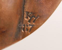 Kiss György (1943-): SOTE I.SZ.Női klinika. Bronz plakett, jelzett, d:11 cm