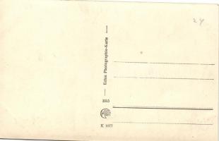 Erbeutete montenegrische Schafe im Defensionslager Avtovac / K.u.K. military, sheep caught in camp A...