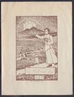 Mécs László (1895-1978), költő aláírása ex librisen